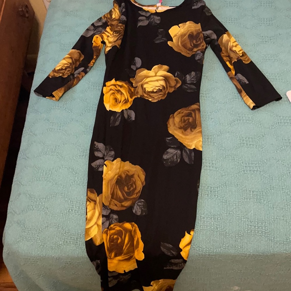I have never worn this dress